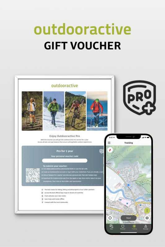 Voucher 1 year Pro+